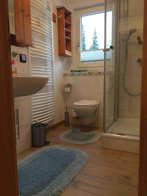 Ferienwohnung Apartment Doppelzimmer In Der Villa Naturpark Rheinblick, Ruhig, Aussicht, Pool Кобленц Екстер'єр фото