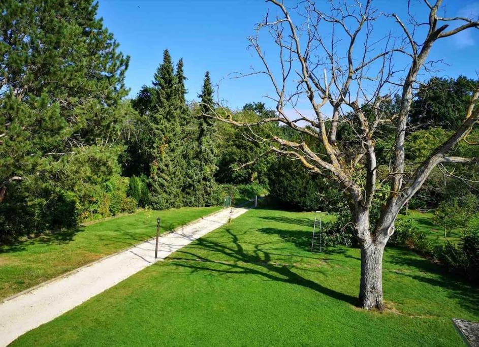 Ferienwohnung Apartment Doppelzimmer In Der Villa Naturpark Rheinblick, Ruhig, Aussicht, Pool Кобленц Екстер'єр фото