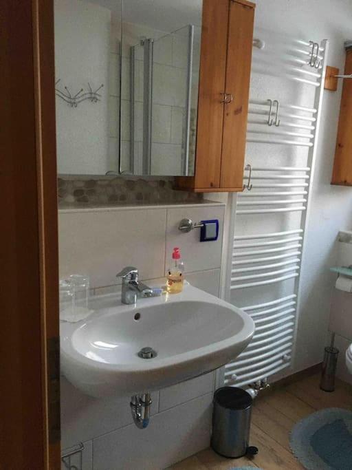 Ferienwohnung Apartment Doppelzimmer In Der Villa Naturpark Rheinblick, Ruhig, Aussicht, Pool Кобленц Екстер'єр фото