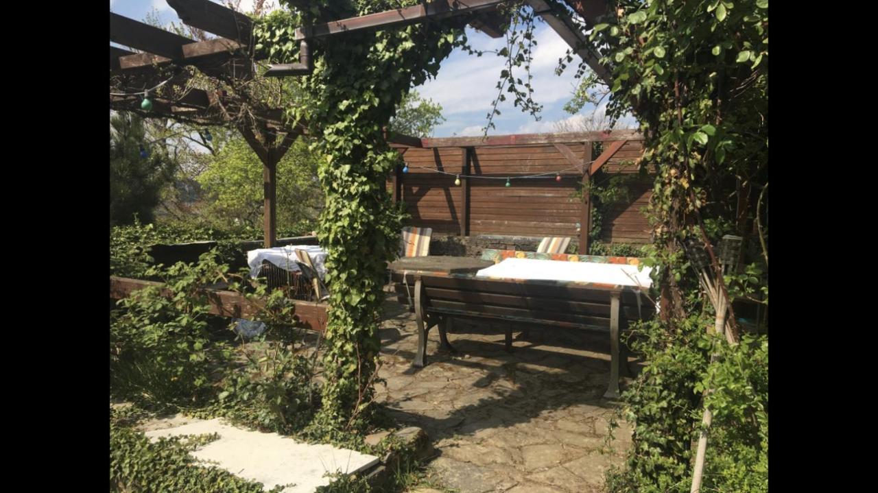 Ferienwohnung Apartment Doppelzimmer In Der Villa Naturpark Rheinblick, Ruhig, Aussicht, Pool Кобленц Екстер'єр фото